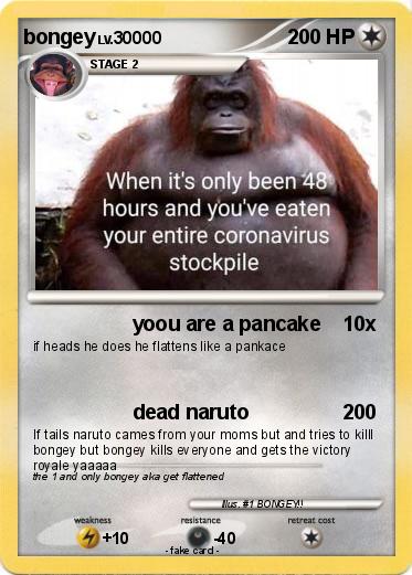 Pokemon bongey