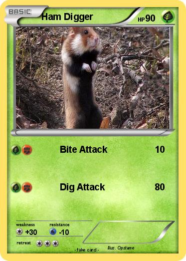 Pokemon Ham Digger