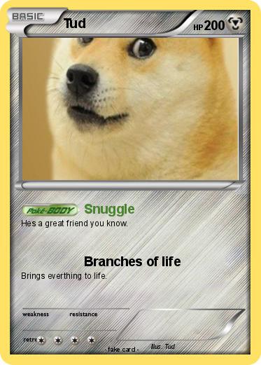 Pokemon Tud