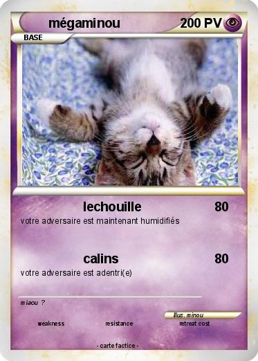 Pokemon mégaminou