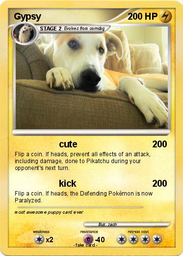 Pokemon Gypsy