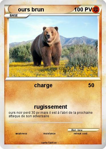 Pokemon ours brun