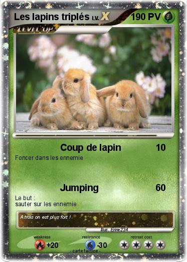 Pokemon Les lapins triplés