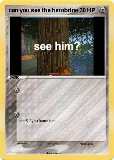 Pokemon can you see the herobrine