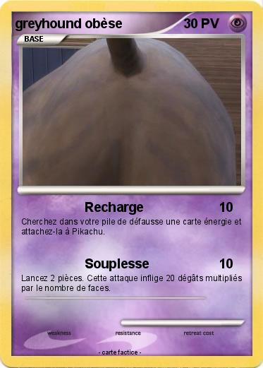 Pokemon greyhound obèse