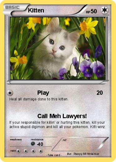 Pokemon Kitten