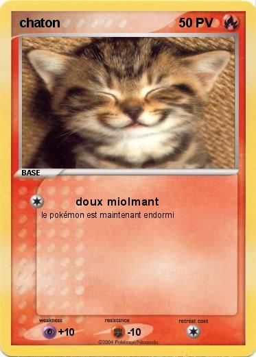 Pokemon chaton