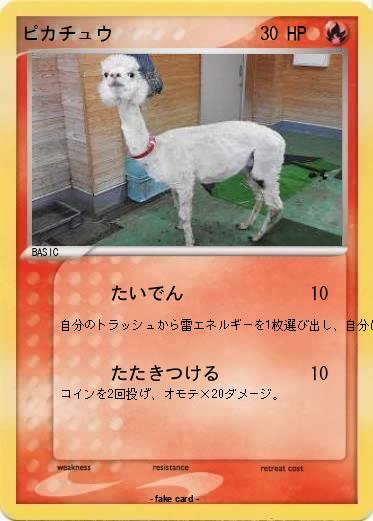 Pokemon ピカチュウ