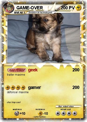 Pokemon GAME-OVER