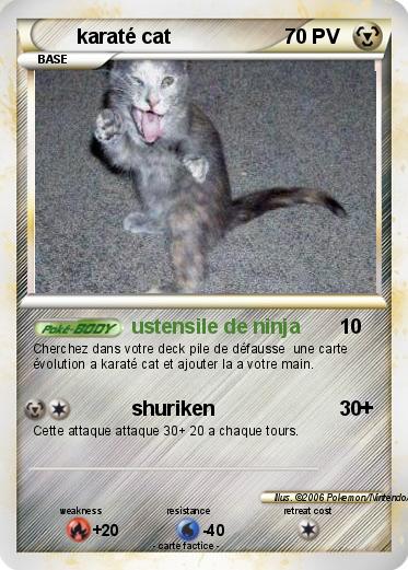 Pokemon karaté cat