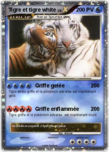 Pokemon Tigre et tigre white