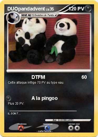 Pokemon DUOpandadvent