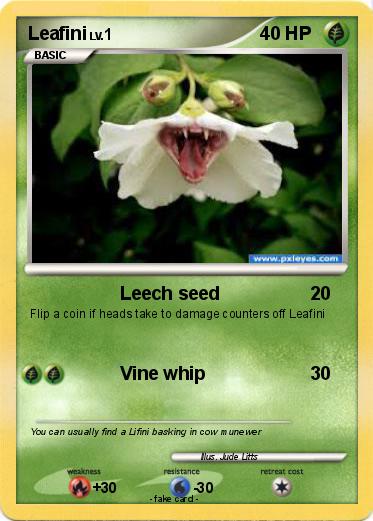 Pokemon Leafini