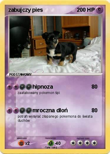 Pokemon zabujczy pies