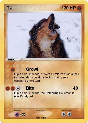 Pokemon T.J.