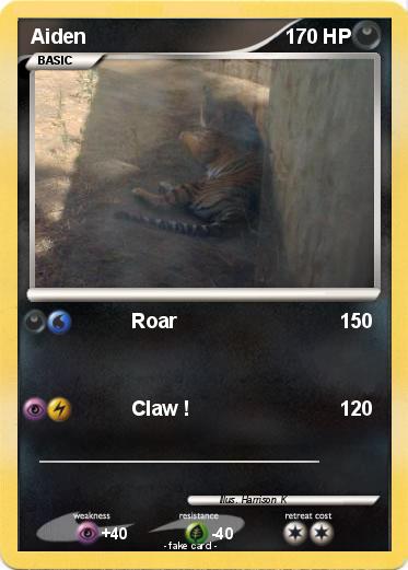 Pokemon Aiden