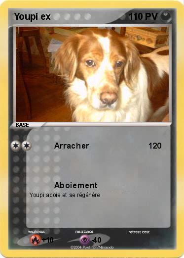 Pokemon Youpi ex