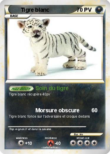Pokemon Tigre blanc