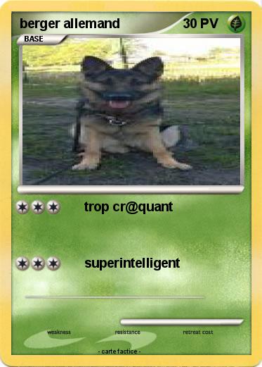 Pokemon berger allemand