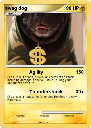 Pokemon swag dog