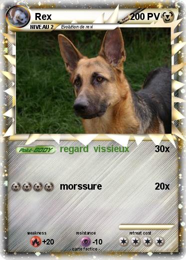 Pokemon Rex