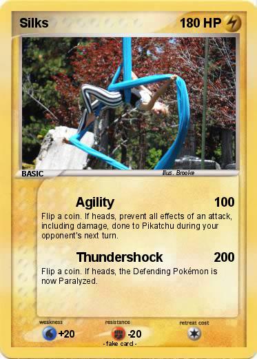 Pokemon Silks