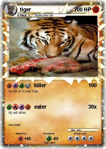 Pokemon tiger