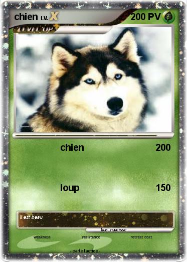 Pokemon chien