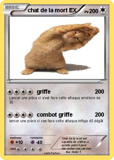 Pokemon chat de la mort EX