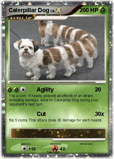 Pokemon Caterpillar Dog
