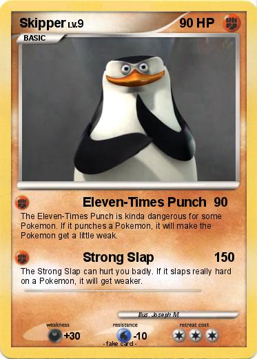 Pokemon Skipper