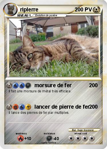 Pokemon riplerre