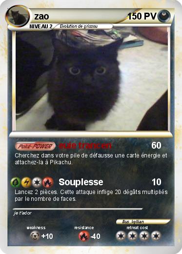 Pokemon zao