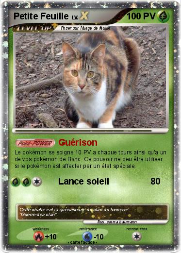 Pokemon Petite Feuille