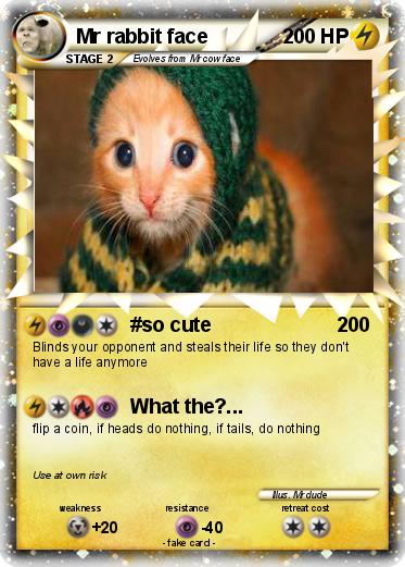 Pokemon Mr rabbit face