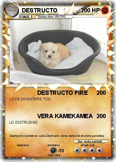 Pokemon DESTRUCTO