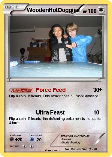 Pokemon WoodenHotDoggies