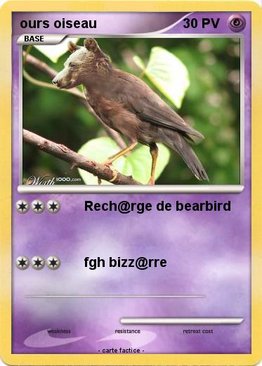 Pokemon ours oiseau