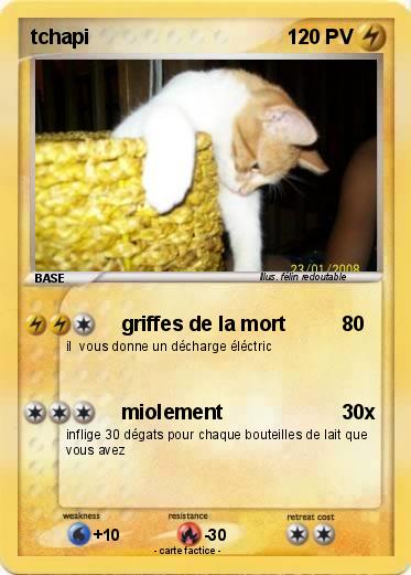 Pokemon tchapi