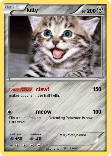 Pokemon kitty