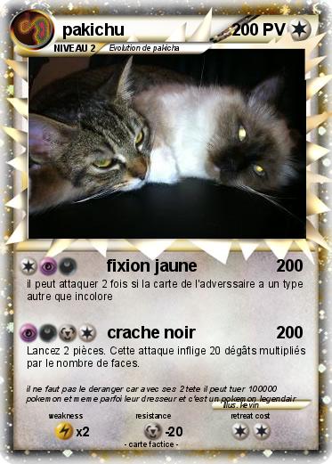 Pokemon pakichu