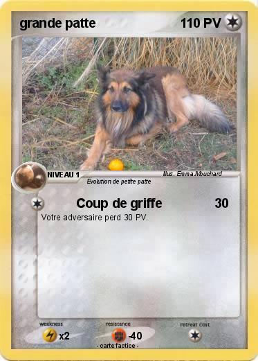 Pokemon grande patte