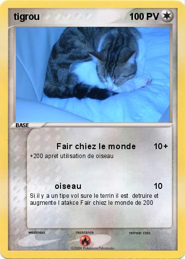 Pokemon tigrou