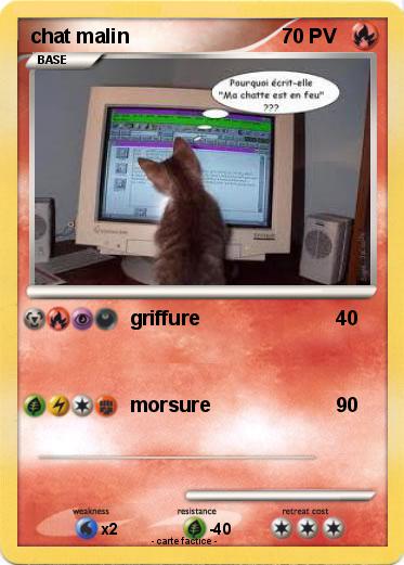 Pokemon chat malin