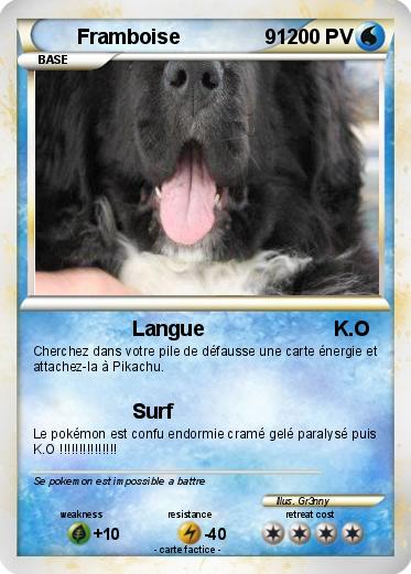 Pokemon Framboise               91