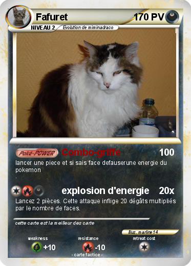 Pokemon Fafuret