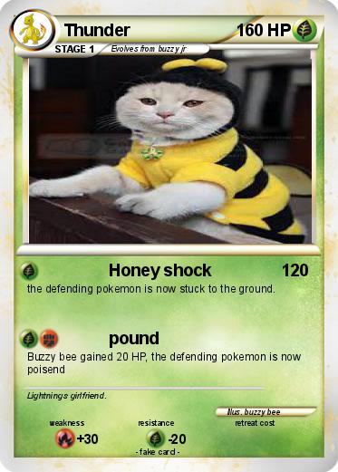 Pokemon Thunder
