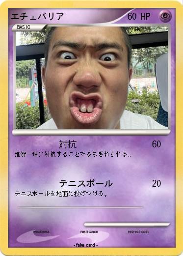 Pokemon エチェバリア