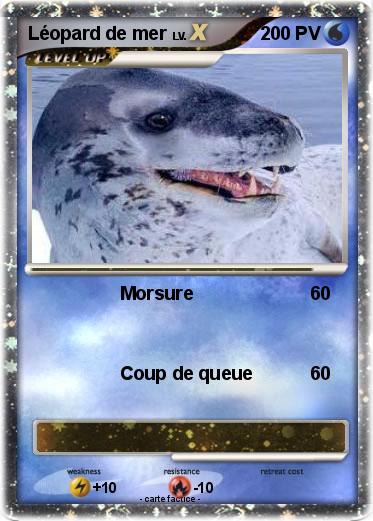 Pokemon Léopard de mer