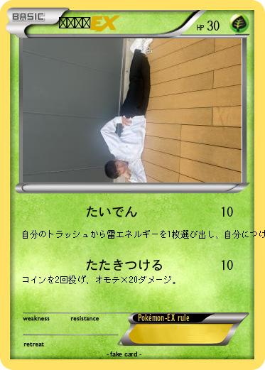 Pokemon 狐化平尾